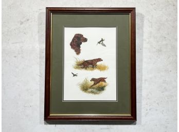 A Framed Series Of Dog Themed Illustrations