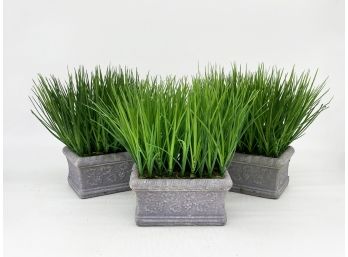 A Trio Of Faux Grasses In Planters