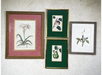 Framed Botanical Artwork Grouping