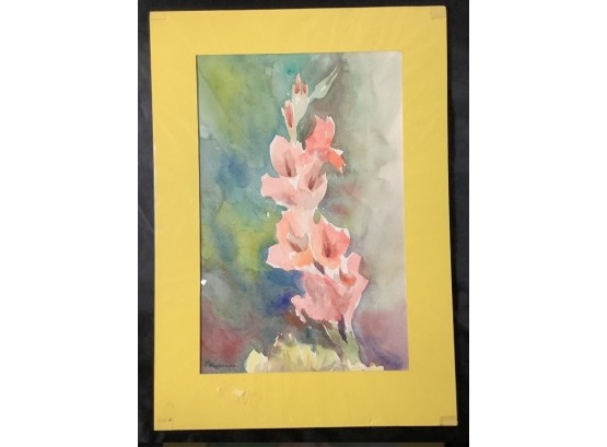 Watercolor On Paper Of Gladiolus. Signed R. Wasserman Lower Left.