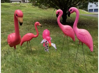 Pink Flamingos!