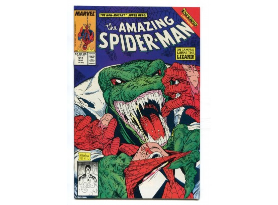Amazing Spider-Man #313, Marvel Comics 1989