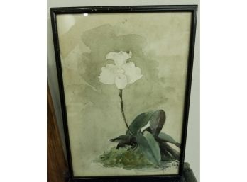 Watercolor Of Orchid Signed By Sylvia Such