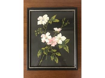 Beautiful Framed Floral Painting On Dramatic Black Background - Initialed By Artist