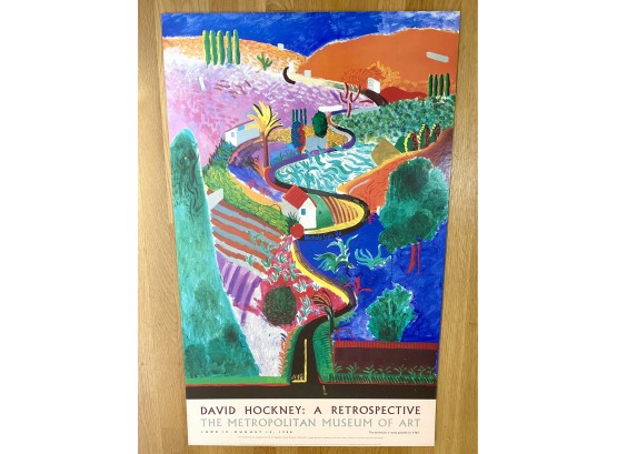 Rare David Hockney Nichols Canyon 1988 Metropolitan Museum Art Exhibition Poster