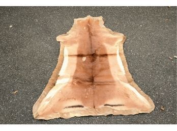 Tanned Animal Hide
