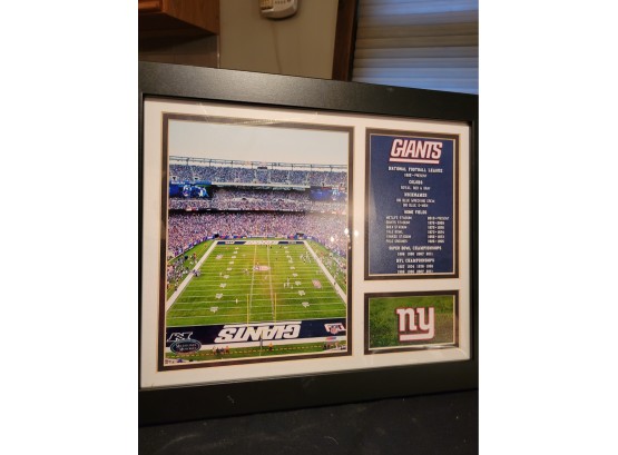 New York Giants Stadium Framed And Matted Photo
