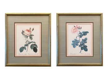 Pair Of Rose Botanical Prints