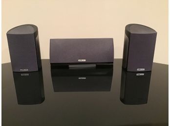 Sony S-Master Pro Amplifier And Polka Audio Speakers