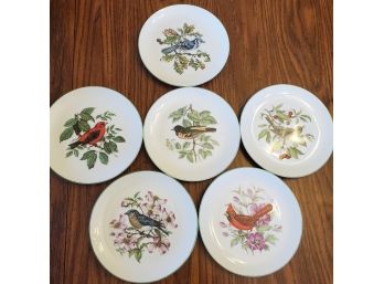 Set Of 6 Lovely Plates With Bird Paintings Motif