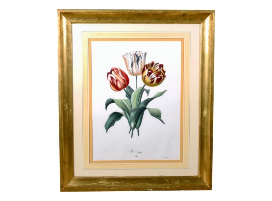 Signed Gallo Gallignani Print Titled 'Tulipes' In Gilt Frame