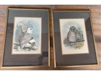 Two Framed Owl Prints