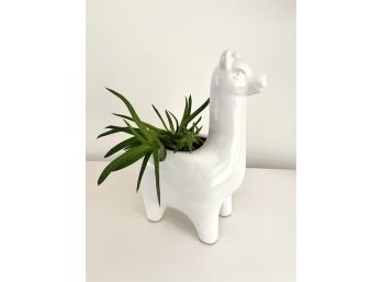 Ceramic Llama Planter W Plant