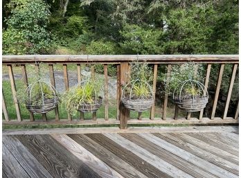 Open Garden Sphere Metal Hanging Basket Planter And Liner W Live Plants- Set Of 4
