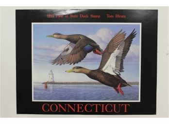 Tom Hirata - 1993 CT Duck Stamp Art