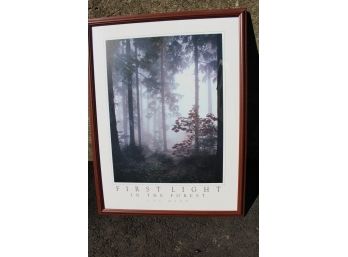 B&W Poster Print 'First Light In The Forest' By Lee Mann