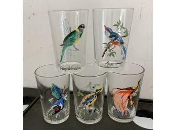 5 Vintage Bird Glasses