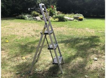 Gorilla Painters Ladder