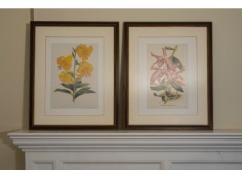 Pair Of Beautiful Framed Botanical Prints