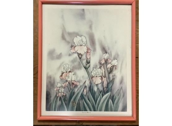 Framed Print Of Coral And White Irises. Artist Signed & Numbered Carmel Foret 475/950. Dated 1981.
