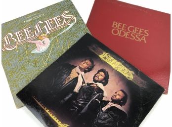 Record/Vinyl Lot 1 Of 24  (BeeGees)