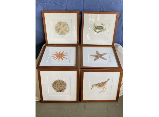 Six Framed Signed Prints By Matthew Smith At Quincy Pond, New Hampshire