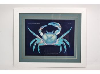 Naturalist Print 'Ucides Cordatus' Crab