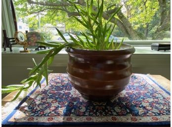 Live Plant Maybe Aloe Vera In Decorative Pot With Rug Design Mat