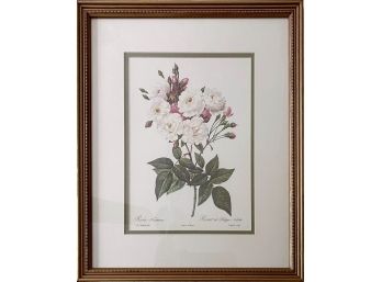 Botanical Floral Art Print With Beaded Gold Leaf Frame