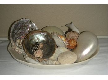 Bowl Of Sea Shells Plus John Perry Dolphin Sculpture
