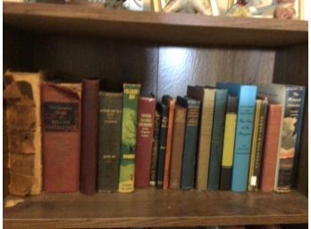First Shelf Of Books In Bookcase Antique & Vintage  Civil War Memoir