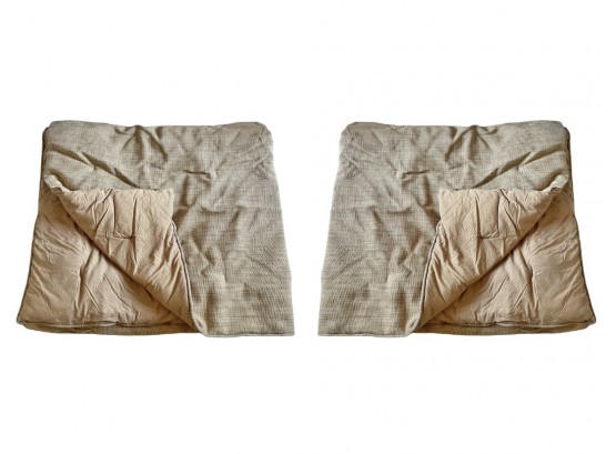Pair Of Queen Comforters With Coordinating Pillow Cases