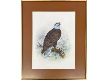 Vintage Artist Signed Eagle Print