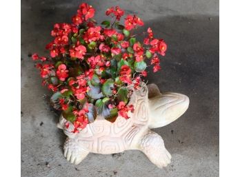 Terracotta Turtle Planter