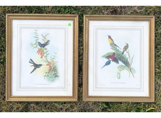 A Pair Of Audubon Prints