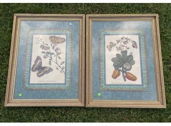 A Pair Of Vintage Butterfly Prints