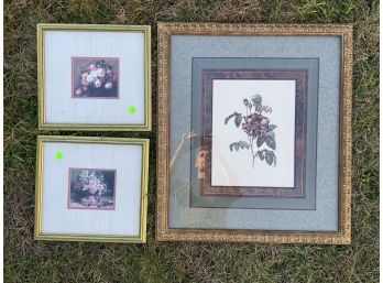 Still Life And Botanical Prints