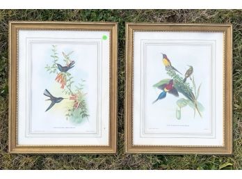 A Pair Of Audubon Prints