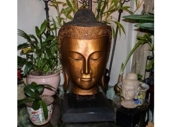 Impressive !!! Carved Wood Buddha Head 40 POUNDS!!!!!