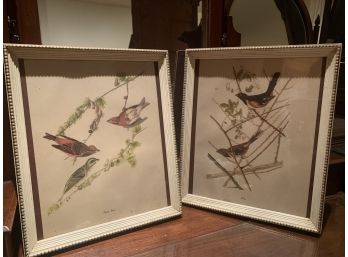 Pair Of Bird Prints