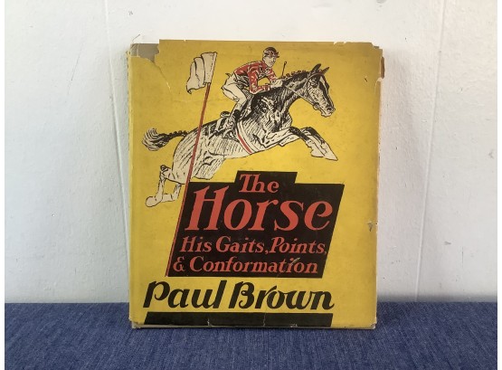 The Horse His Gaits, Points, And Conformation Paul Brown Book