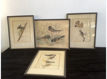 Lithograph Hand Painted Birds Lot