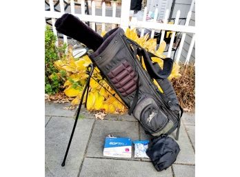 Assorted Golf Clubs Including Excalibur, Daltrek Kickstand Bag With Cover, New Balls & Tee's