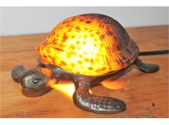 Cool Looking Lighted Tortoise Lamp