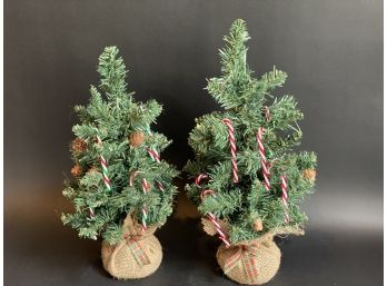 Two Little Tabletop Christmas Trees