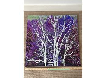 'Purple Tree' Signed Stanley Jaffee Original Photography 30x30' Printed On Aluminum