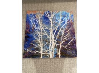 'Blue Tree 3of9' Signed Stanley Jaffee Numbered Original Photograph 30x30' Printed On Aluminum
