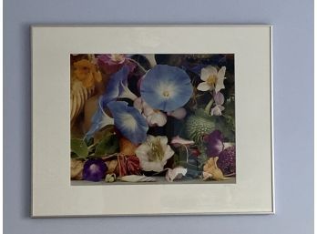 Morning Glories Picture Matted Framed Glass 28x22'