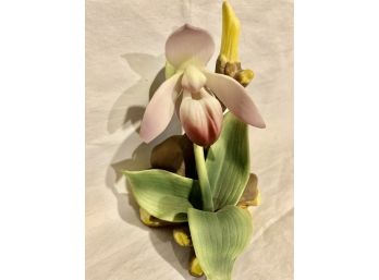 Showy Lady Slipper Flower Ceramic