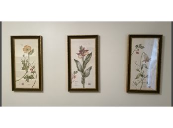 Three Matted And Framed Floral Prints